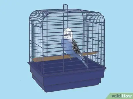 Путешествие с домашними животными на машине Шаг 13