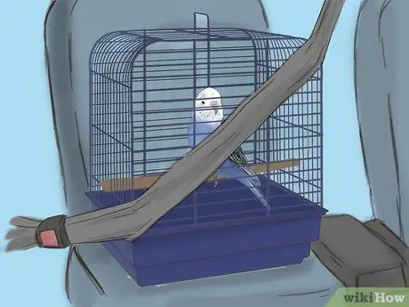 Путешествие с домашними животными на машине Шаг 14