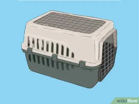 Путешествие с домашними животными на машине Шаг 2