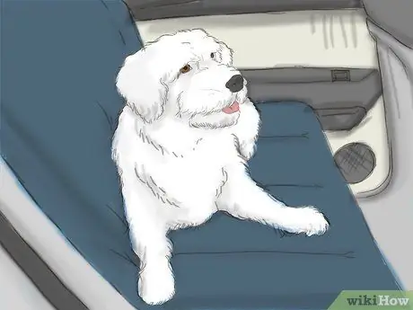 Путешествие с домашними животными на машине Шаг 3