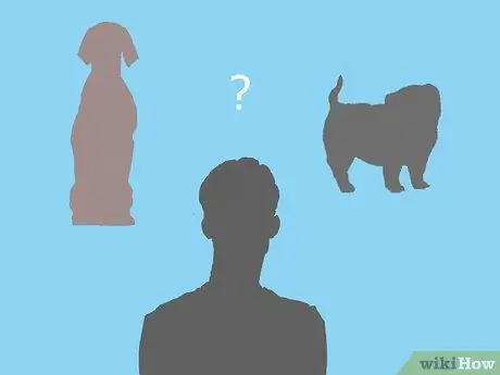 Путешествие с домашними животными на машине Шаг 4