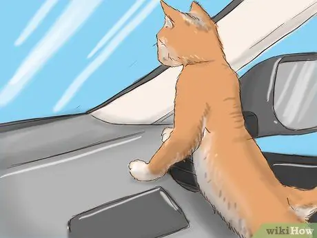 Путешествие с домашними животными на машине Шаг 7