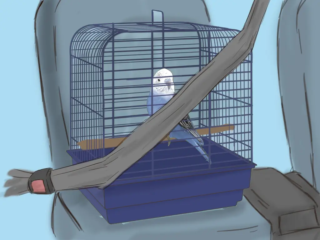 5 способов путешествовать с домашними животными на машине