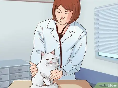 Приготовить сырой корм для кошек, шаг 1