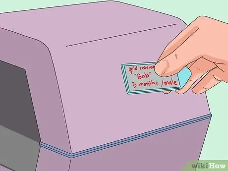 Привезти собаку в Соединенные Штаты Шаг 8