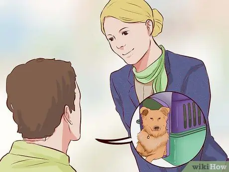 Отправить собаку Шаг 19