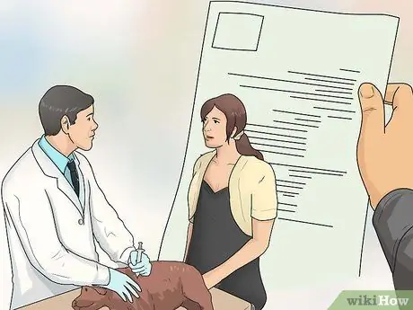 Привезти собаку в Соединенные Штаты Шаг 4