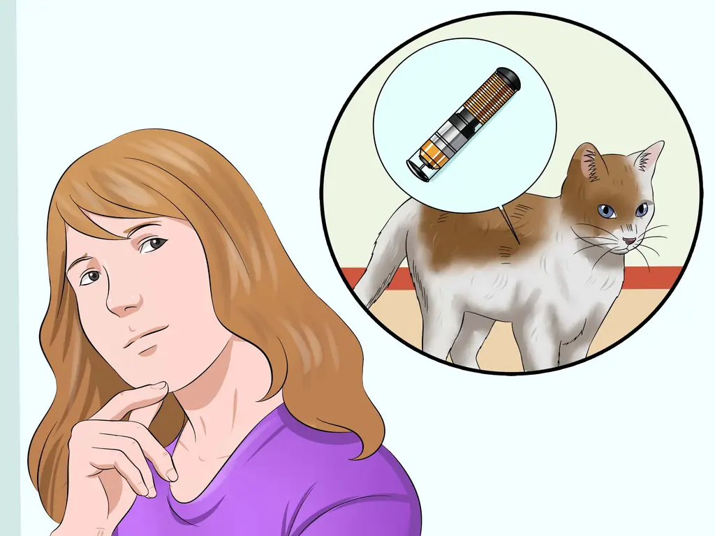 Как привезти питомца в США из другой страны