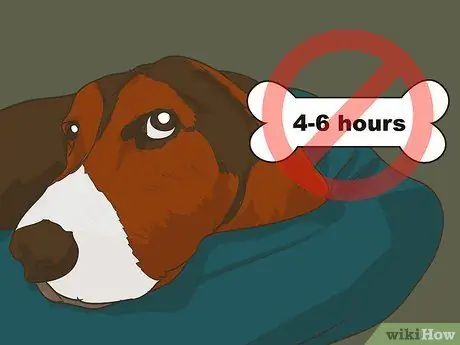 Путешествуйте в отпуск вместе с домашним животным Шаг 11