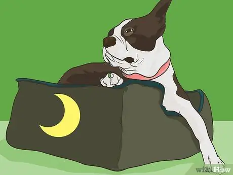 Путешествуйте в отпуск с домашним животным Шаг 15