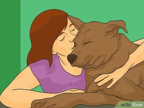 Путешествуйте в отпуск с домашним животным Шаг 19