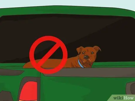 Путешествуйте в отпуск вместе с домашним животным Шаг 6