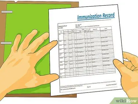 Путешествуйте в отпуск с домашним животным Шаг 8