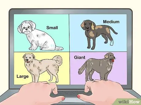 Летайте с домашними животными Шаг 1