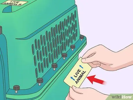 Летайте с домашними животными Шаг 10