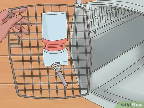 Летайте с домашними животными Шаг 11