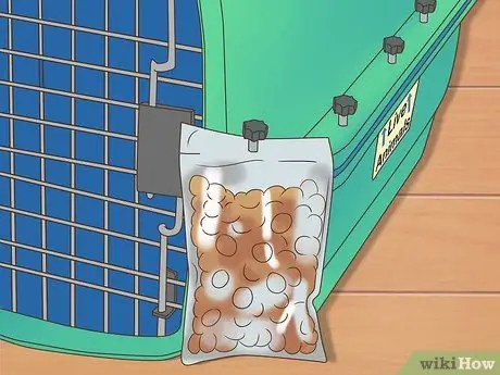 Летайте с домашними животными Шаг 12