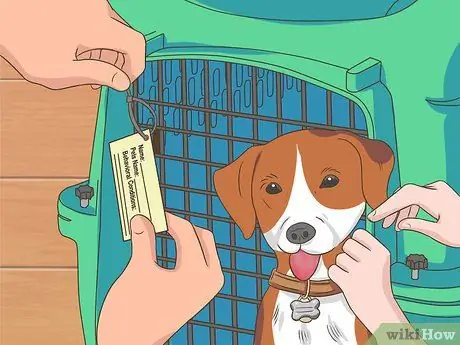 Летайте с домашними животными Шаг 13