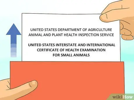 Летайте с домашними животными Шаг 15