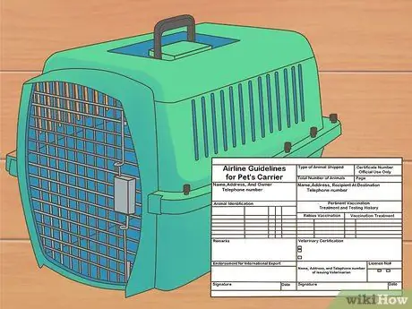 Летайте с домашними животными Шаг 3