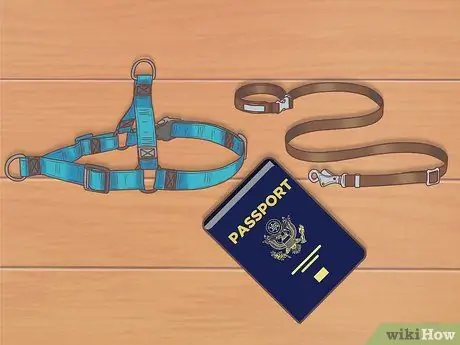 Летайте с домашними животными Шаг 4