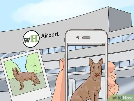 Летайте с домашними животными Шаг 9