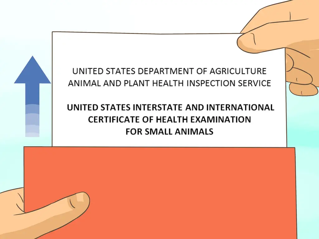 3 способа летать с домашними животными