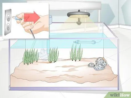 Акклиматизация рыбы Шаг 1