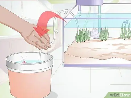 Акклиматизация рыбы Шаг 11