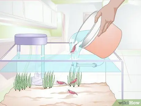 Акклиматизация рыбы Шаг 13