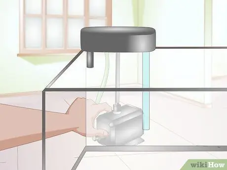 Акклиматизация рыбы Шаг 15