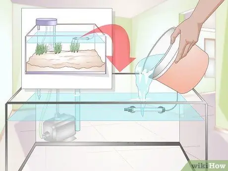 Акклиматизация рыбы Шаг 17