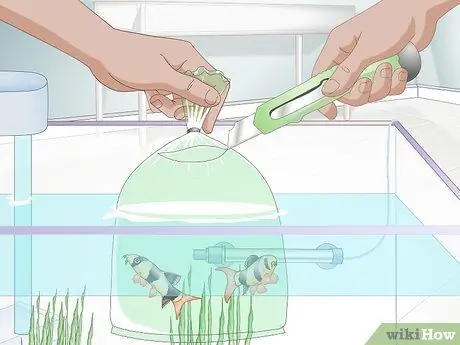 Акклиматизация рыбы Шаг 3