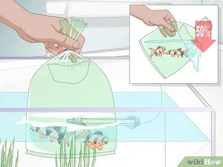 Акклиматизация рыбы Шаг 5