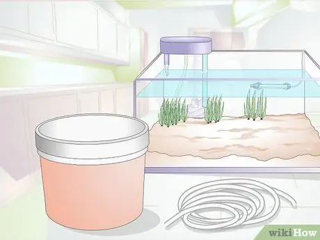 Акклиматизация рыбы Шаг 8