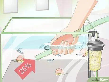 Порода Даниос Шаг 13