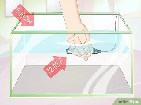 Порода Даниос Шаг 3