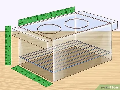 Порода Неоновых Тетр Шаг 1