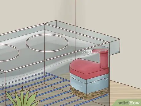 Порода неоновых тетр Шаг 4