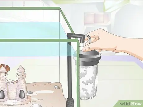 Порода Молли Фиш Шаг 12