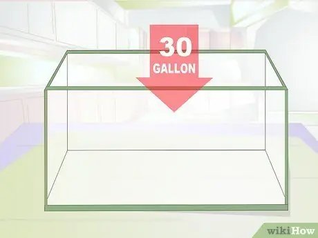 Порода Молли Фиш Шаг 7