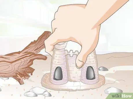 Порода Молли Фиш Шаг 8