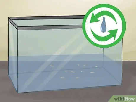 Разведение рыбы Шаг 11