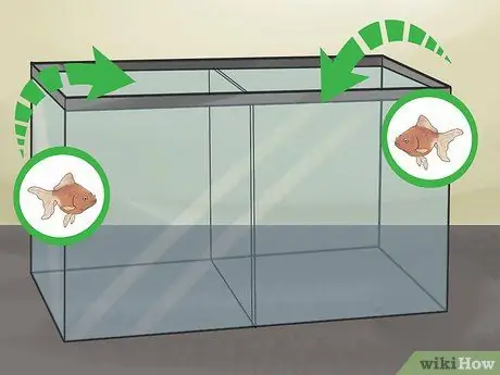 Разведение рыб, шаг 2