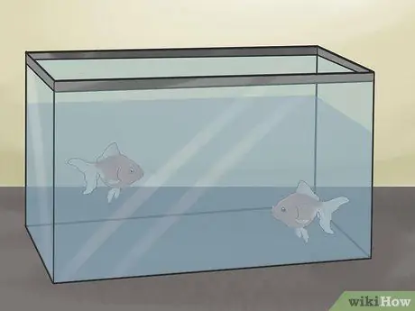 Разведение рыбы Шаг 5