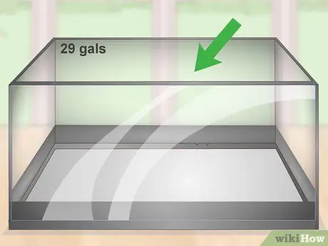 Разведение и уход за пластинами Шаг 1