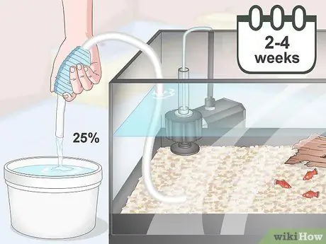 Выращивание платин и уход за ними Шаг 11