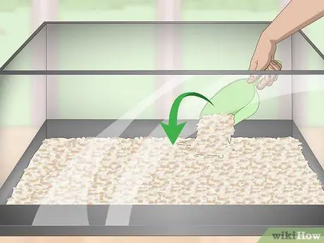 Разведение и уход за пластинами Шаг 2