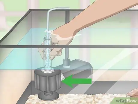 Разведение и уход за пластинами Шаг 4