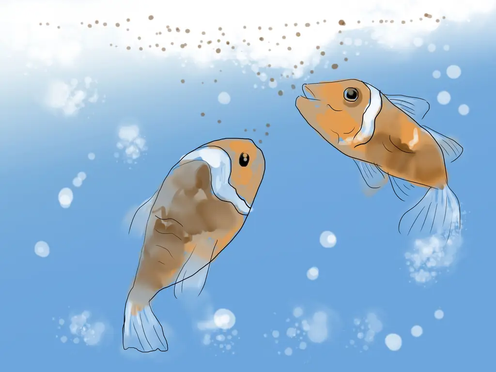 Как разводить рыбу-клоуна: 15 шагов (с иллюстрациями)